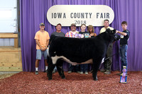 Iowa County Fair 2018